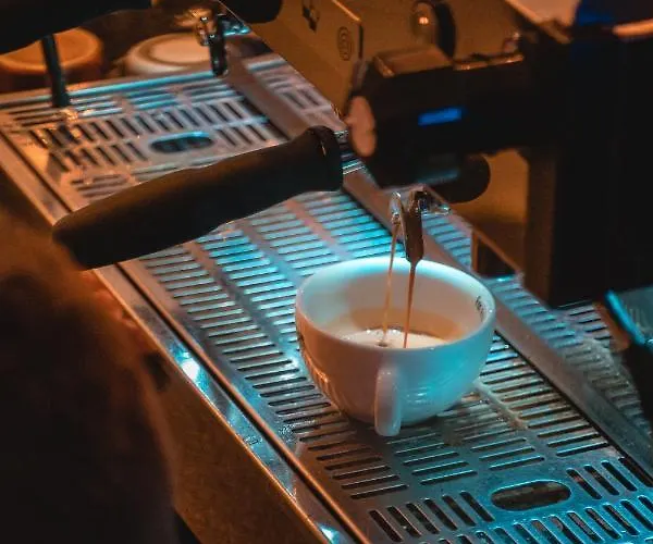 Trybunalska Bed & Breakfast